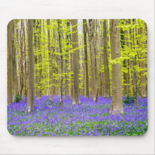 Frühling im Blauen Wald Mousepad