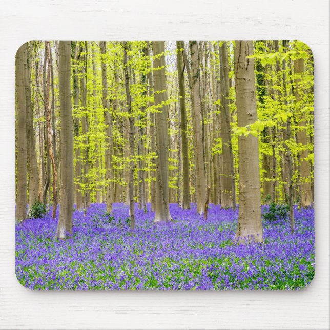 Frühling im Blauen Wald Mousepad (Vorne)