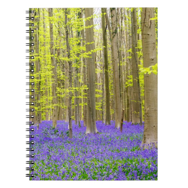 Frühling im Blauen Wald Notizblock (Vorderseite)