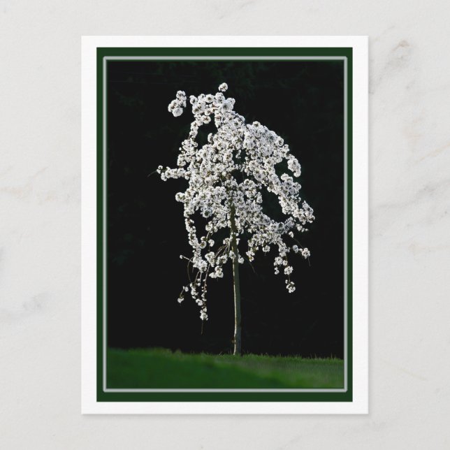 Frühling im Blut Postkarte (Vorderseite)