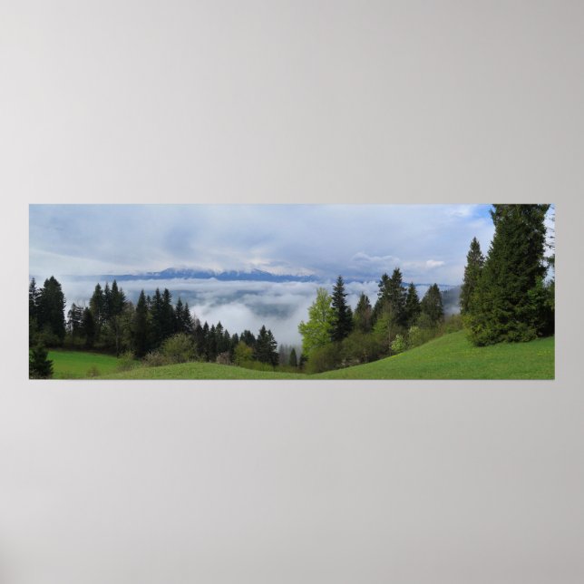 Frühling im Pieniner Gebirge Poster (Vorne)