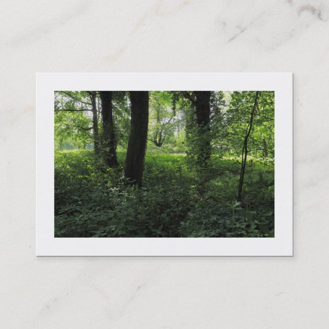 Frühling im Wald 04 (grenzt) Visitenkarte (Vorderseite)