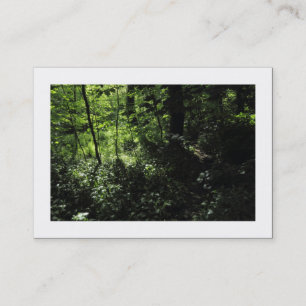 Frühling im Wald 05 (grenzt) Visitenkarte