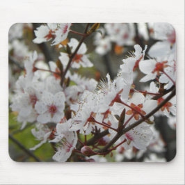 Frühling in Canberra Mousepad