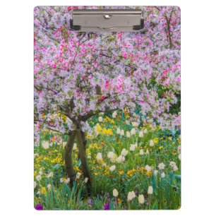 Frühling in Claude Monets Garten Klemmbrett
