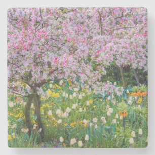 Frühling in Claude Monets Garten Steinuntersetzer