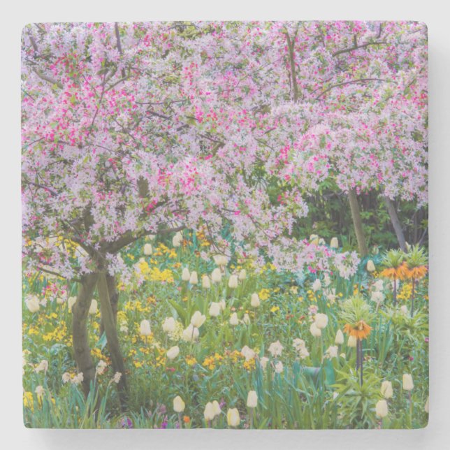 Frühling in Claude Monets Garten Steinuntersetzer (Vorderseite)