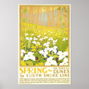 Frühling - in den Dünen Poster