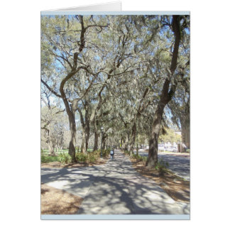 Frühling in der Savanne