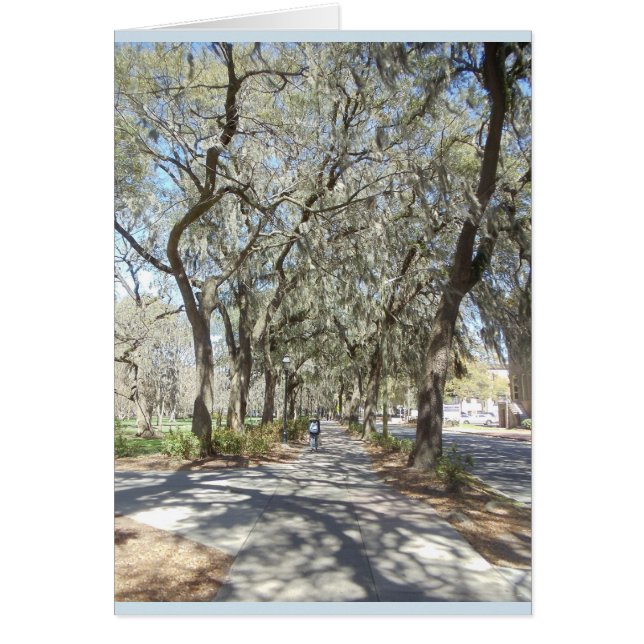 Frühling in der Savanne (Vorne)