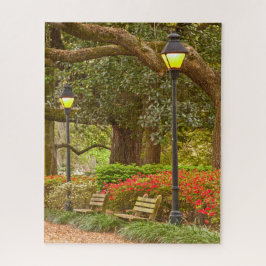 Frühling in der Savanne, GA, Forsyth Park, Puzzle