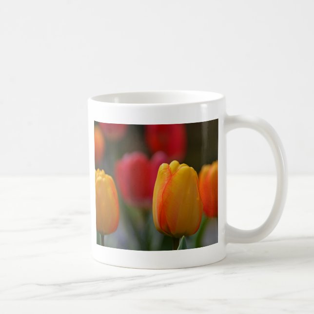 Frühling in Farben Kaffeetasse (Rechts)