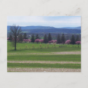 Frühling in Gettysburg Postkarte