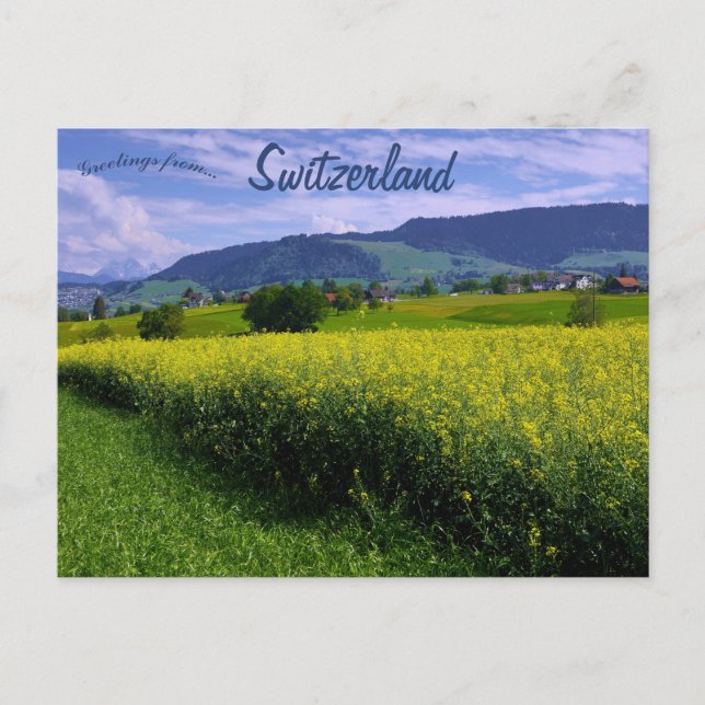 Frühling in Hirzel Schweiz Postkarte (Vorderseite)