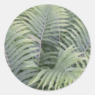 Frühling in Maine Runder Aufkleber