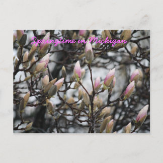 Frühling in Michigan Postkarte