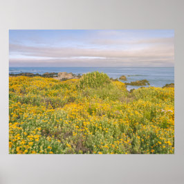 Frühling in Monterey Poster
