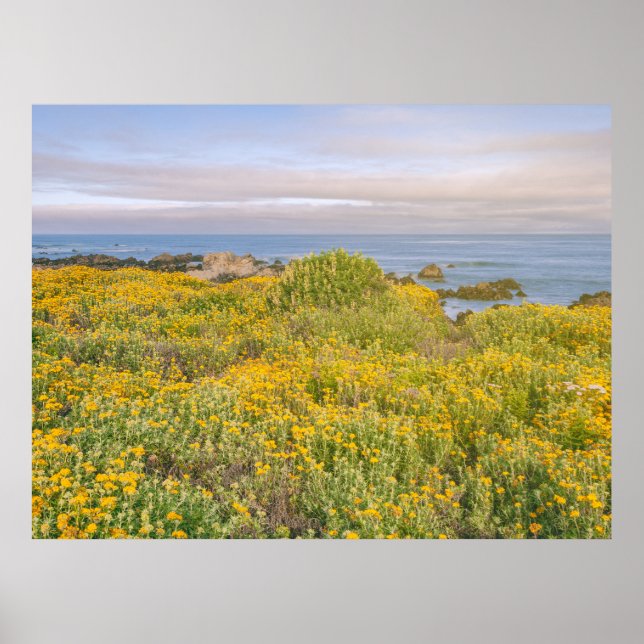 Frühling in Monterey Poster (Vorne)