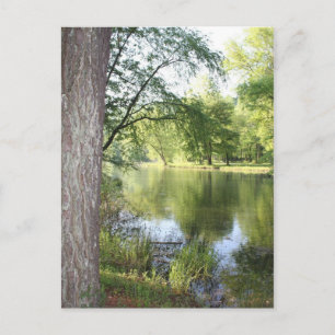 "Frühling in Ost-Tennessee" Postkarte