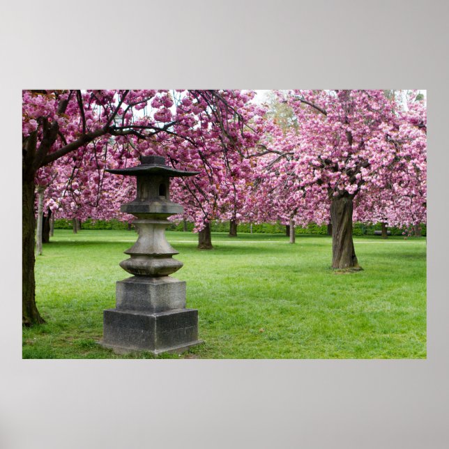 Frühling in Paris Kirchenblüten Poster (Vorne)
