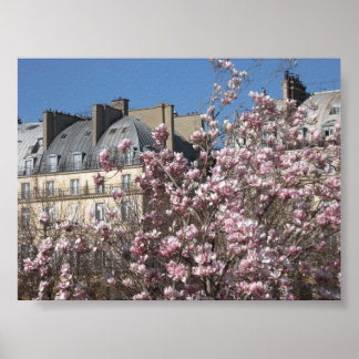 Frühling in Paris Poster