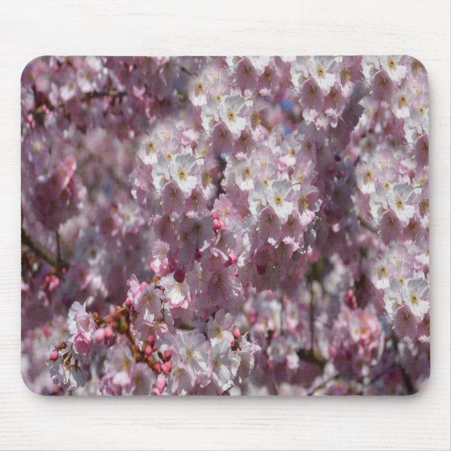 Frühling in Rosa Mousepad (Vorne)