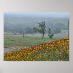 Frühling in Texas Poster