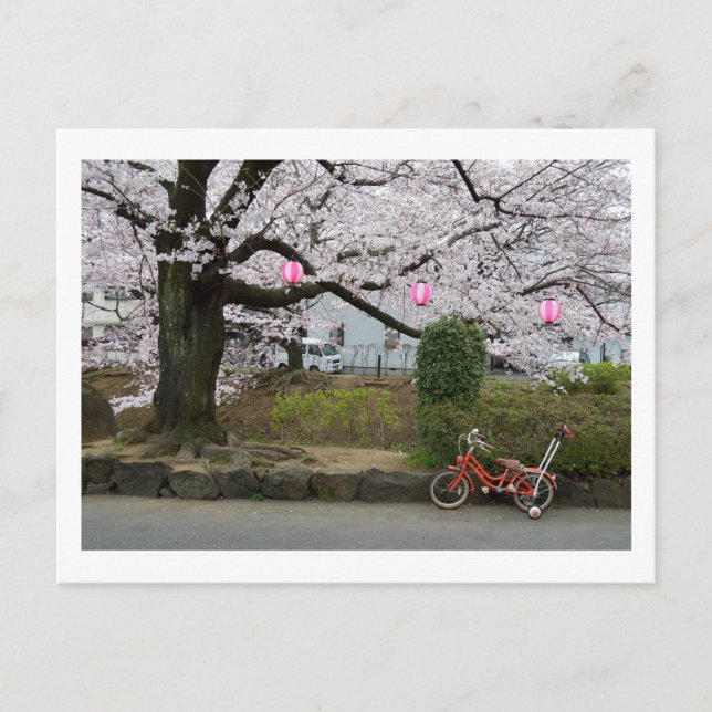 Frühling in West-Tokio Postkarte (Vorderseite)