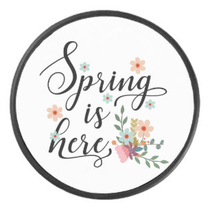 Frühling ist hier eishockey puck
