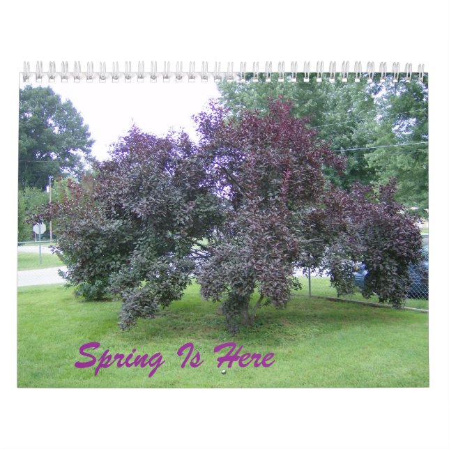 Frühling ist hier Kalender (Titelbild)