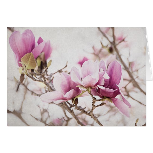 Frühling ist in der Luft (Vorderseite (Horizontal))