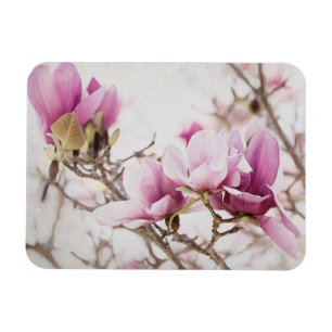 Frühling ist in der Luft Magnet