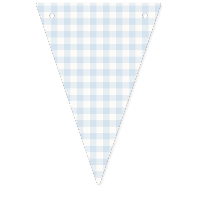Frühling Klassisches Gingham | Puderblau Wimpelkette (Erste Fahne)