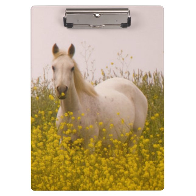 Frühling Klemmbrett (Vorderseite)