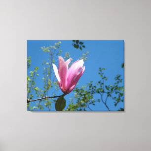 Frühling lila magnolische Blume in blauem Himmel. Leinwanddruck