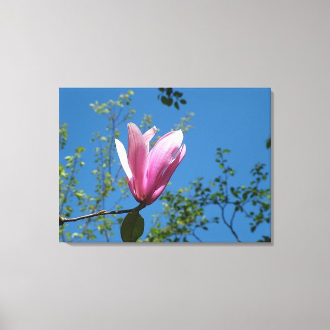 Frühling lila magnolische Blume in blauem Himmel. Leinwanddruck (Vorderseite)