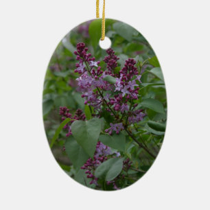 Frühling/Ostern: Neugieriges Lamm, lyrische lylac Keramikornament