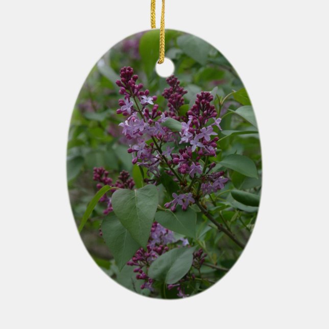 Frühling/Ostern: Neugieriges Lamm, lyrische lylacs Keramikornament (Hinten)