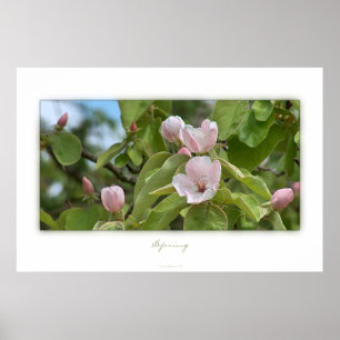 Frühling Poster