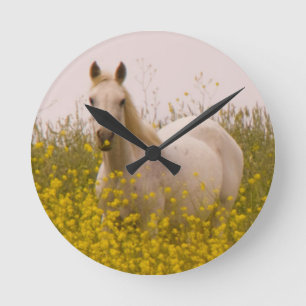 Frühling Runde Wanduhr