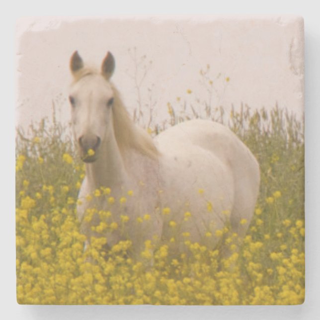 Frühling Steinuntersetzer (Vorderseite)