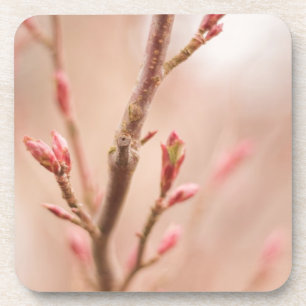 Frühling träumt Korken-Untersetzer Getränkeuntersetzer