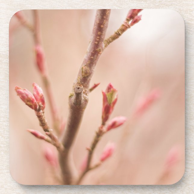Frühling träumt Korken-Untersetzer Getränkeuntersetzer (Vorderseite)