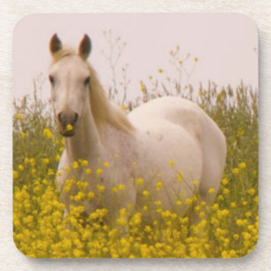 Frühling Untersetzer