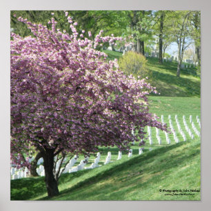 Frühling wieder in Arlington National Friedhof Poster