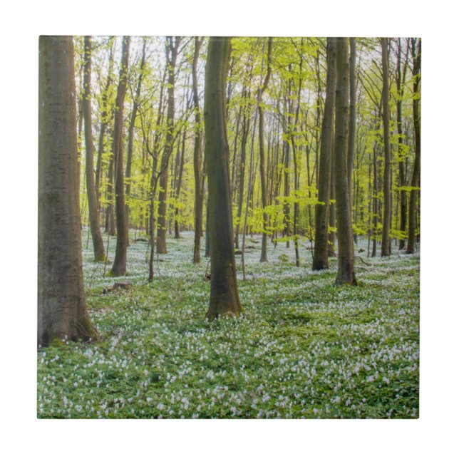 Frühling zum Leben Fliese (Vorderseite)