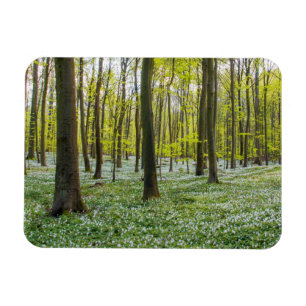 Frühling zum Leben Magnet