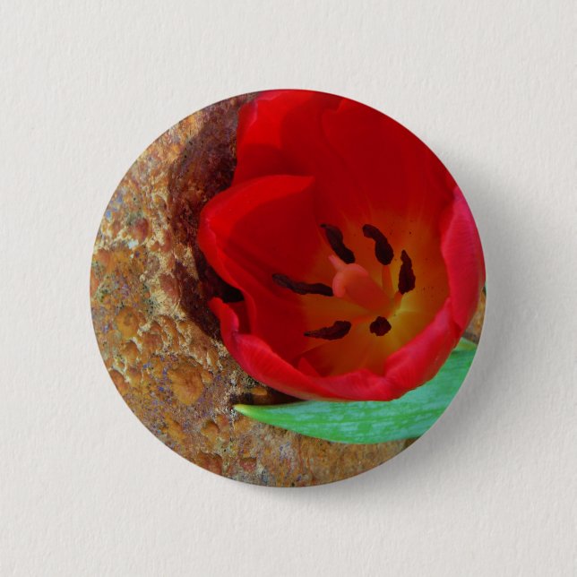 Frühlinggelb und Roter Tulip Button (Vorderseite)