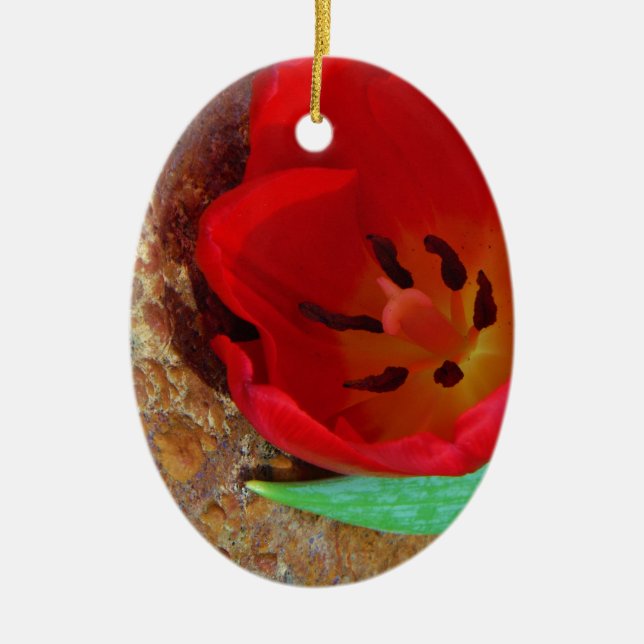 Frühlinggelb und Roter Tulip Keramikornament (Vorne)