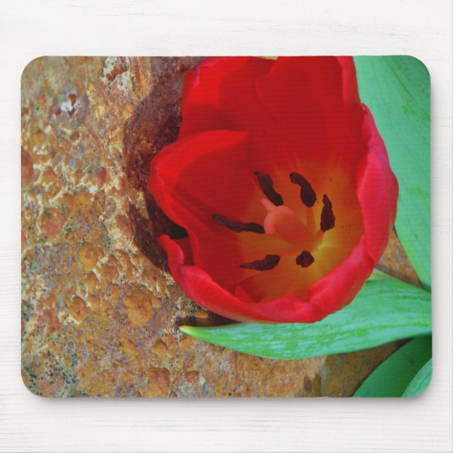 Frühlinggelb und Roter Tulip Mousepad (Vorne)